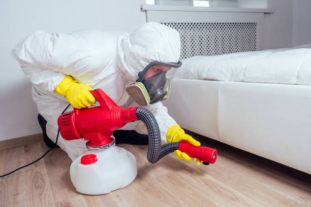 Best Fumigation Services  in Cadott, WI